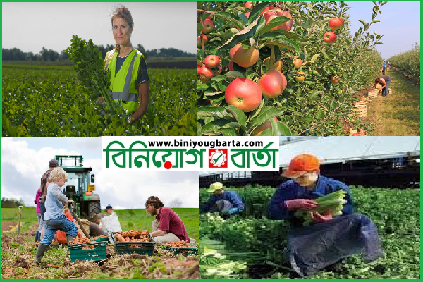 Biniyougbarta | বিনিয়োগবার্তা: ব্যবসা-বাণিজ্য, শিল্প-বিনিয়োগের খবর প্রতিদিন সবসময়