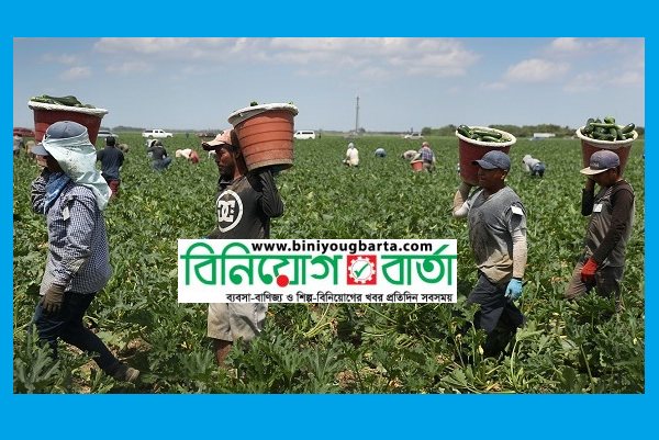 Biniyougbarta | বিনিয়োগবার্তা: ব্যবসা-বাণিজ্য, শিল্প-বিনিয়োগের খবর প্রতিদিন সবসময়