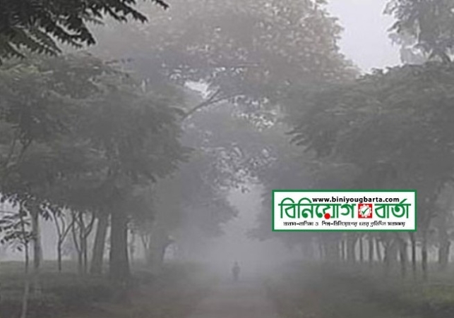 Biniyougbarta | বিনিয়োগবার্তা: ব্যবসা-বাণিজ্য, শিল্প-বিনিয়োগের খবর প্রতিদিন সবসময়