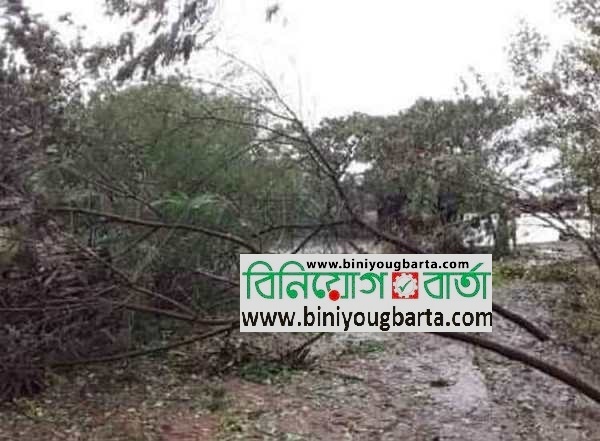Biniyougbarta | বিনিয়োগবার্তা: ব্যবসা-বাণিজ্য, শিল্প-বিনিয়োগের খবর প্রতিদিন সবসময়