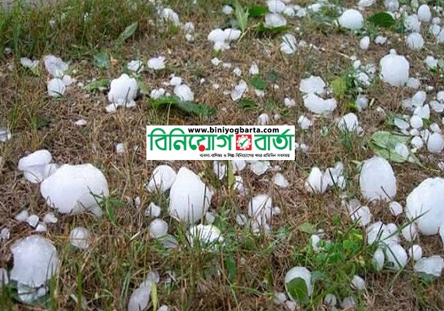 Biniyougbarta | বিনিয়োগবার্তা: ব্যবসা-বাণিজ্য, শিল্প-বিনিয়োগের খবর প্রতিদিন সবসময়