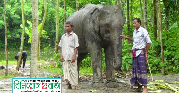 Biniyougbarta | বিনিয়োগবার্তা: ব্যবসা-বাণিজ্য, শিল্প-বিনিয়োগের খবর প্রতিদিন সবসময়